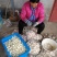 【实力商家】蒜米蒜芯米蒜子去皮大蒜供应食品厂市场批发