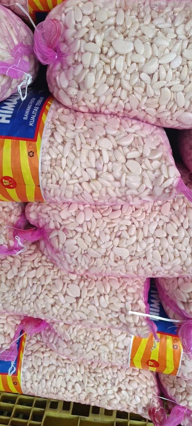 【实力商家】蒜米蒜芯米蒜子去皮大蒜供应食品厂市场批发