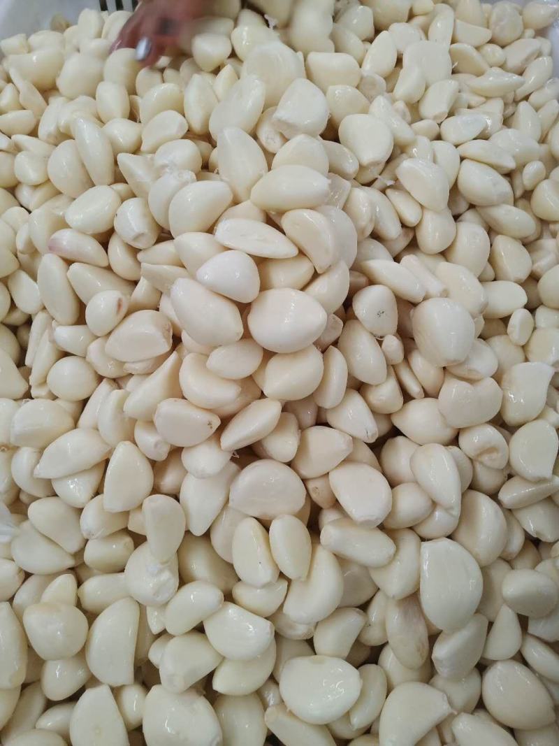 【实力商家】蒜米蒜芯米蒜子去皮大蒜供应食品厂市场批发