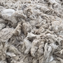 新疆山羊绒（长30～34，细15～15.5）