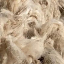 新疆山羊绒（长34～38，细15.3～15.7）