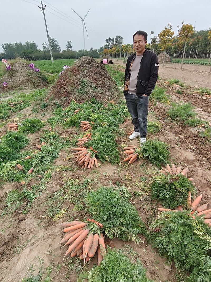 胡萝卜