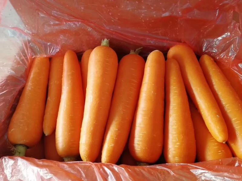 精品胡萝卜🥕