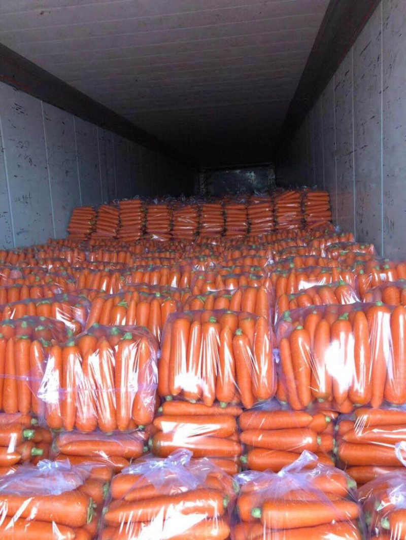 精品胡萝卜🥕