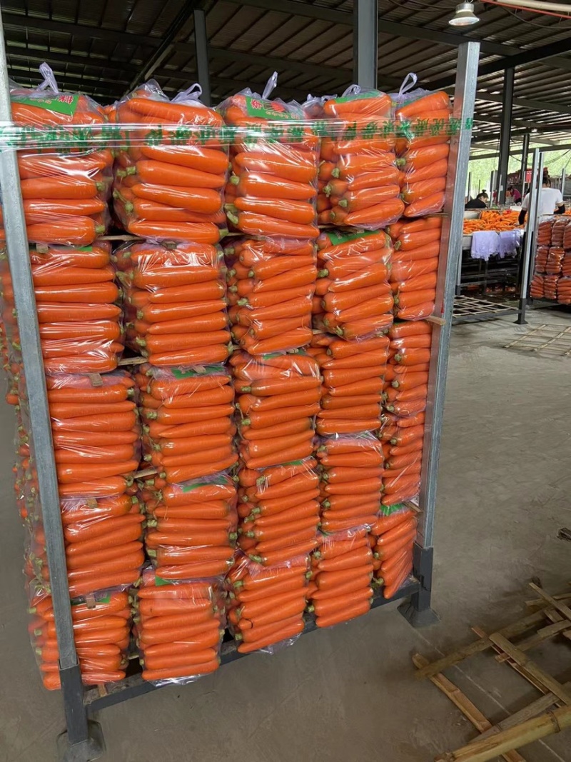精品胡萝卜🥕