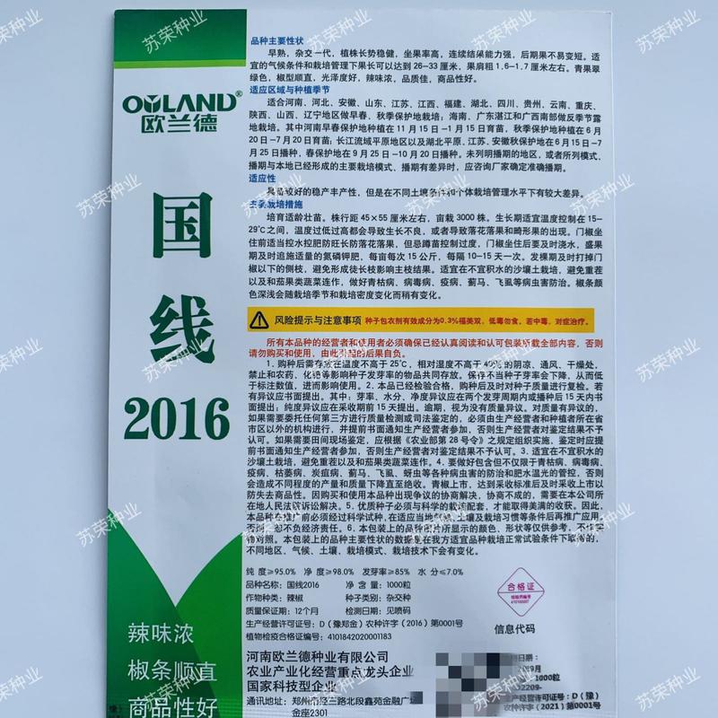 欧兰德国线2016辣椒种子椒条顺直青果翠绿色辣味浓品质佳