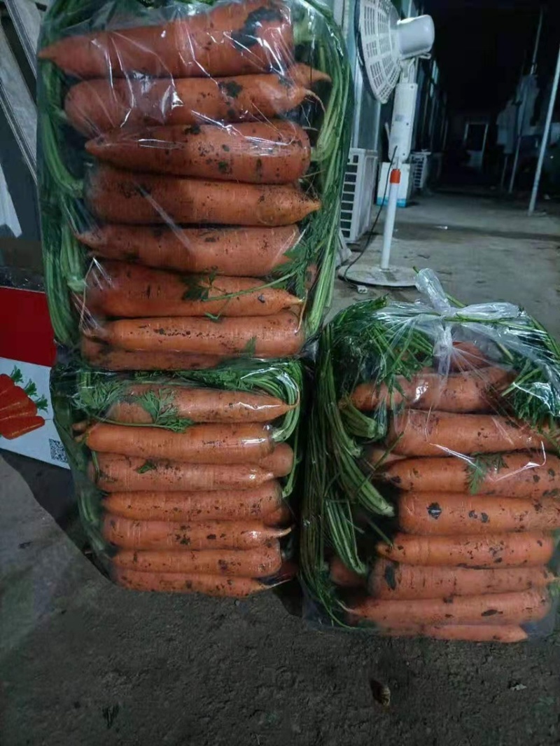 精品带苗胡萝卜🥕
