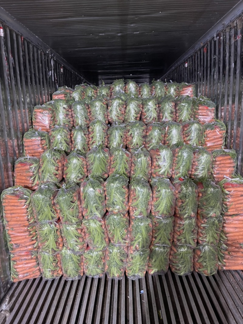 精品带苗胡萝卜🥕