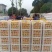 桔子东江湖蜜橘果皮鲜亮果脆汁甜大量供应全国批发