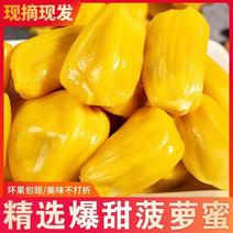 马来西亚一号菠萝蜜，产地直发，批发价格触底价视频