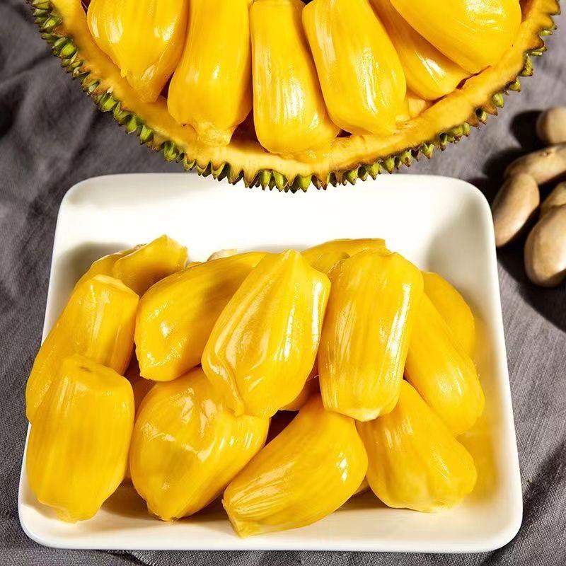 马来西亚一号菠萝蜜，产地直发，批发价格优惠触底价视频看货
