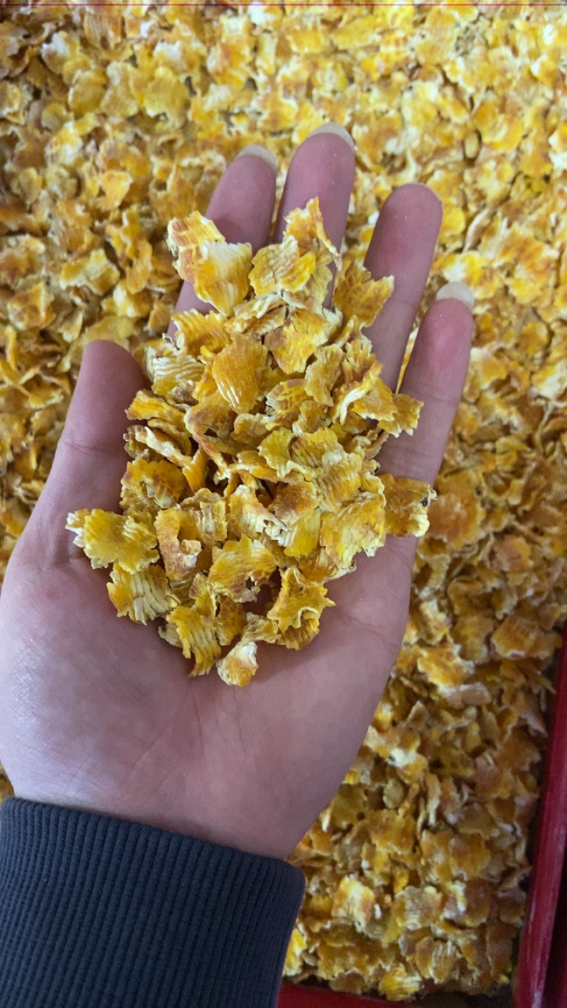 牛羊猪玉米压片饲料高营养高吸收率。