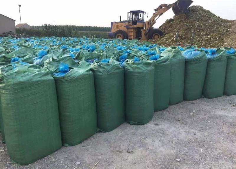 黄储青储玉米秸秆，基地直发一手货源，大量上市中
