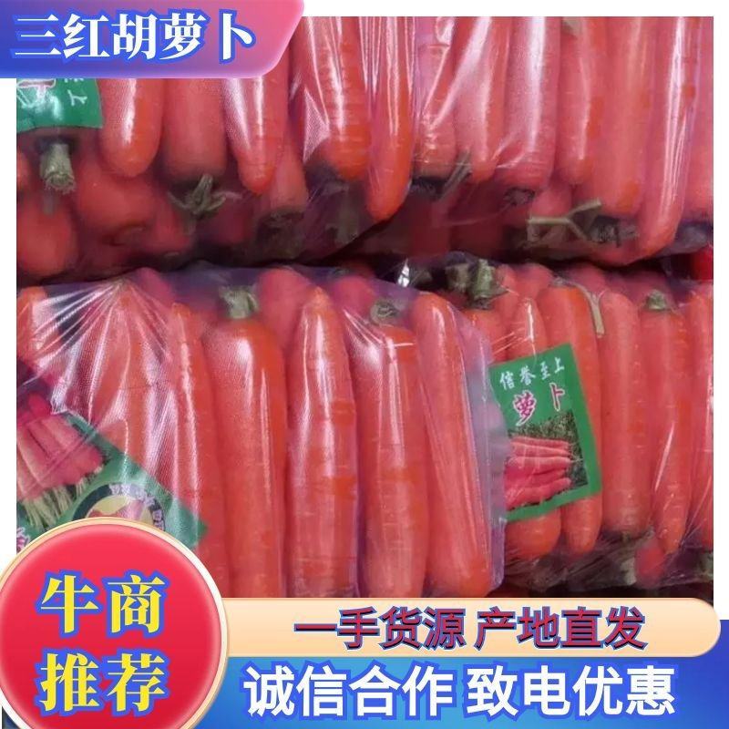 水洗货，三红胡萝卜大量有货有需要的老板前联系