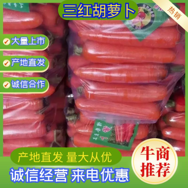胡萝卜三红红萝卜万亩基地质量保障量大从优视频看货等您来电