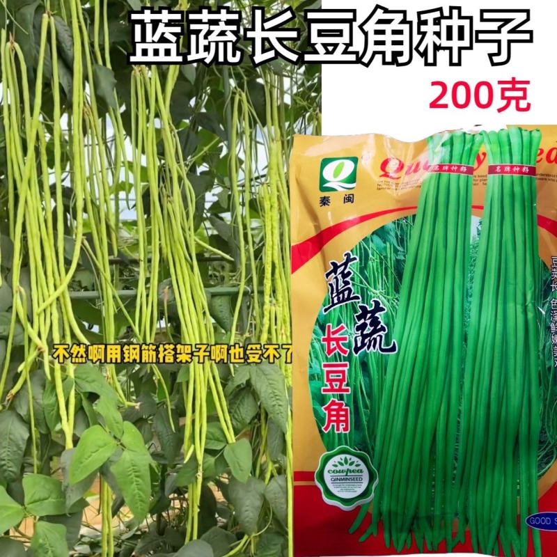 蓝蔬长豆角种子200克长豇豆种子农户种植户大田种植蔬菜种