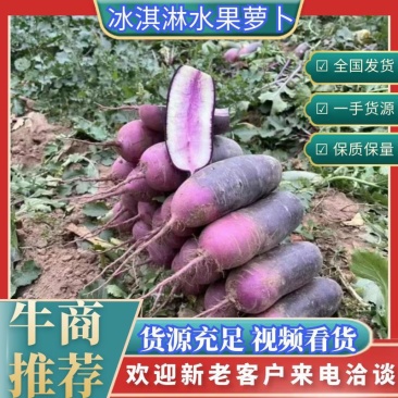 山东潍坊冰激凌水果萝卜，水果萝卜，冰糖心星田02凤梨