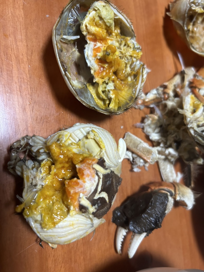 精品大闸蟹有很多种规格价格划算有意向的联系