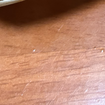 精品大闸蟹有很多种规格价格划算有意向的联系