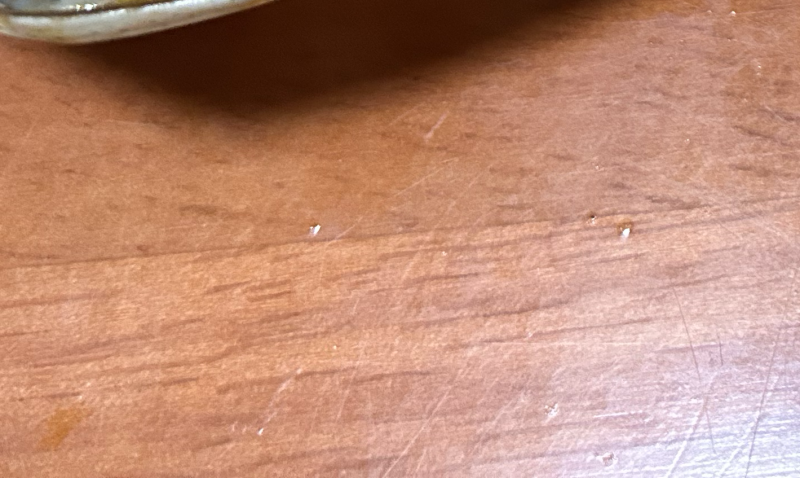 精品大闸蟹有很多种规格价格划算有意向的联系