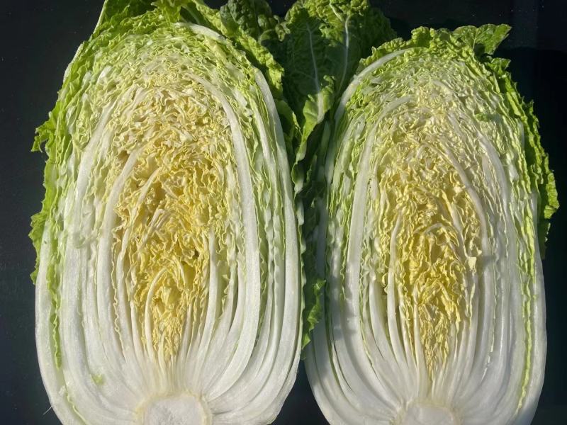 精品娃娃菜