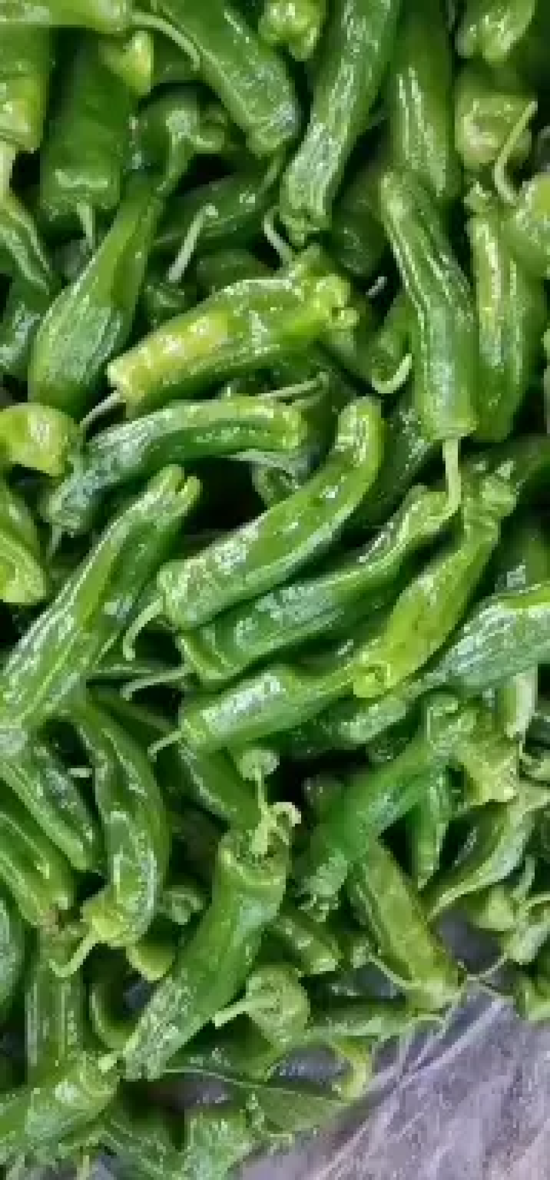 【推荐】泡椒优质301鲜辣椒线椒苏椒螺丝椒电商供应量大优惠