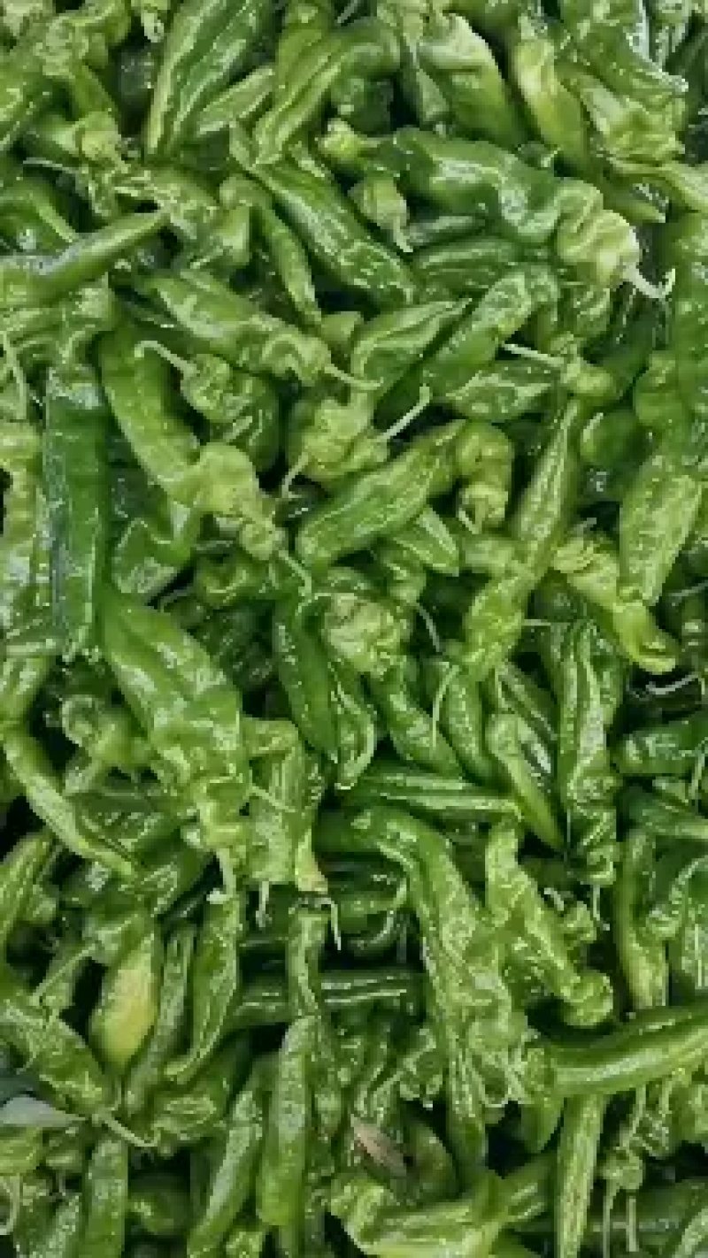 【推荐】泡椒优质301鲜辣椒线椒苏椒螺丝椒电商供应量大优惠