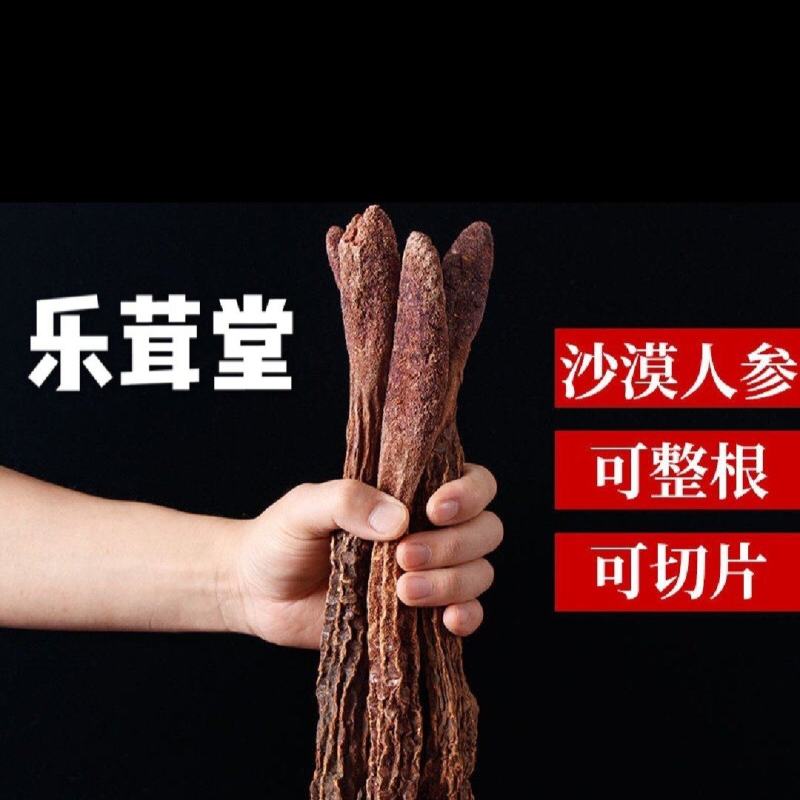 【精品推荐】🔥内蒙金锁阳批发，量大从优
