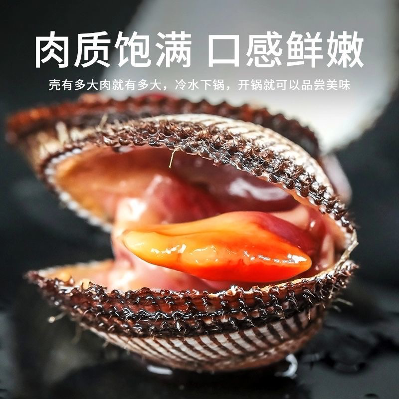 毛蛤