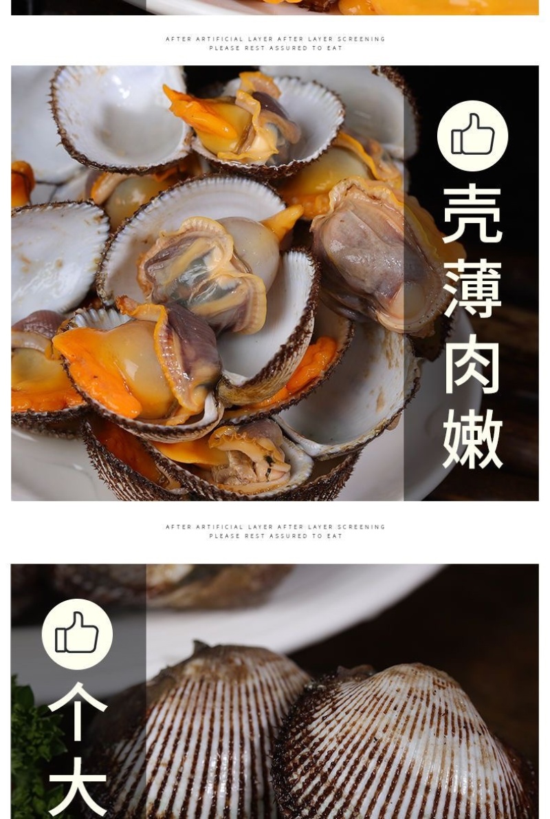 毛蛤