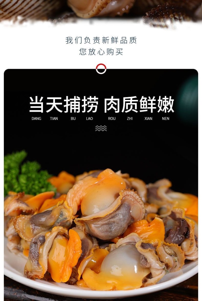 毛蛤