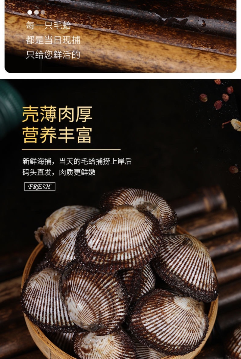 毛蛤