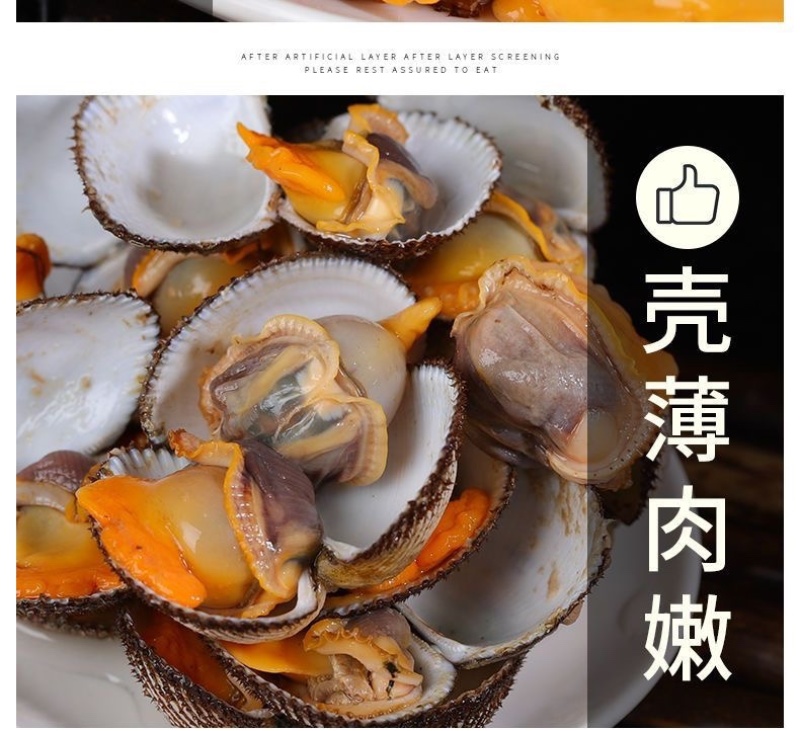 毛蛤