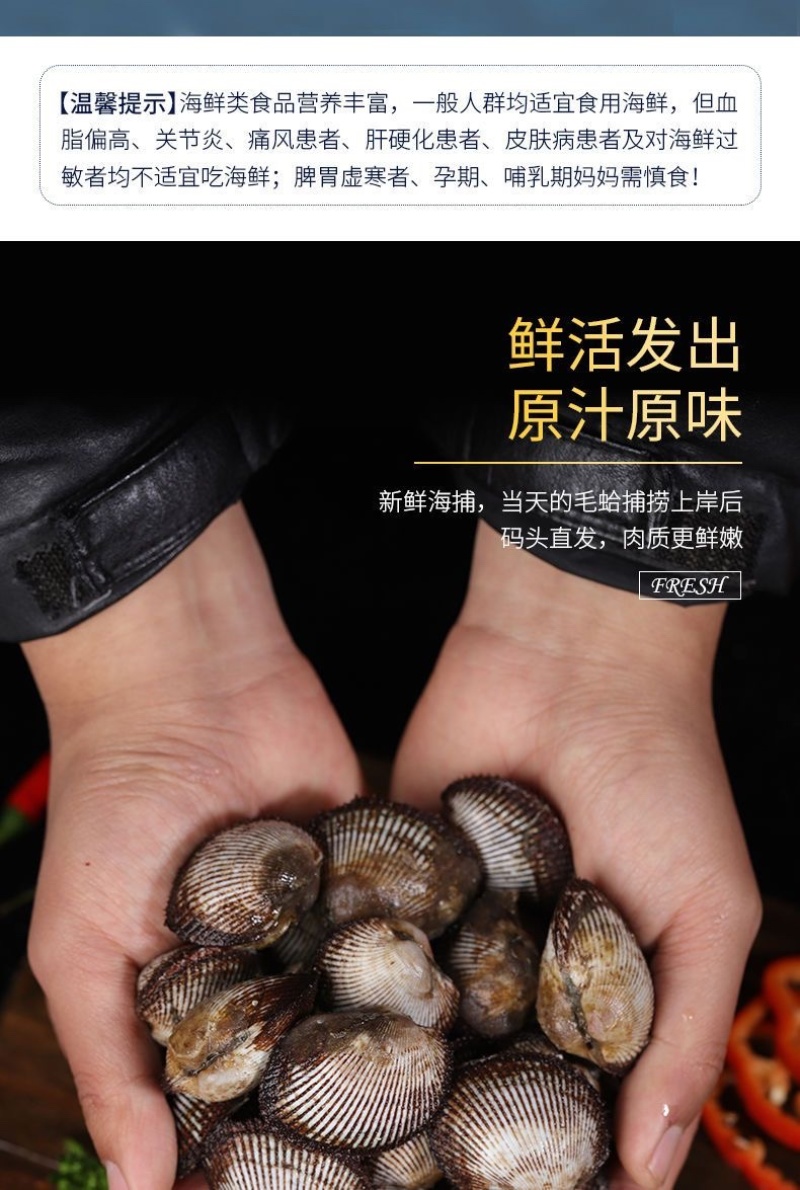 毛蛤