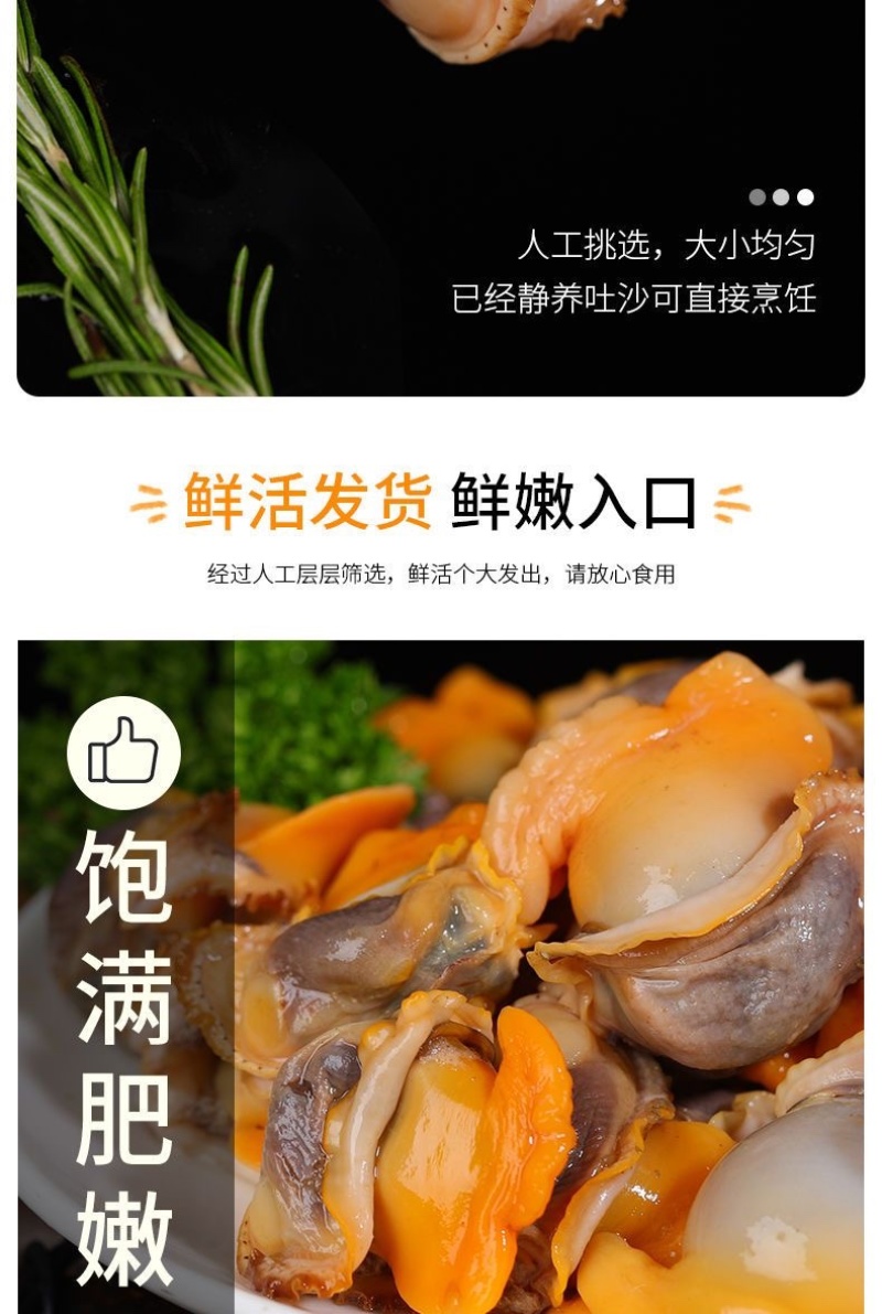 毛蛤