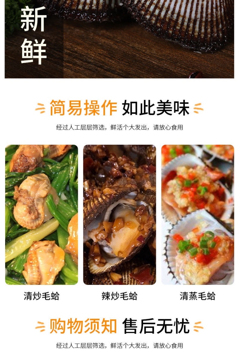 毛蛤
