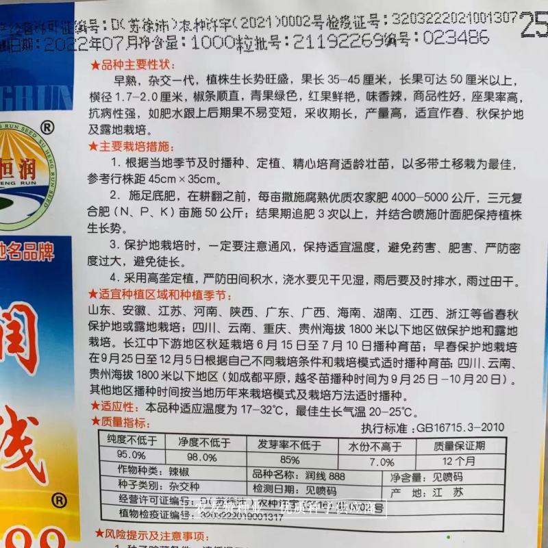 基地专用特长果线椒种子润线888早熟绿色线椒品种香辣