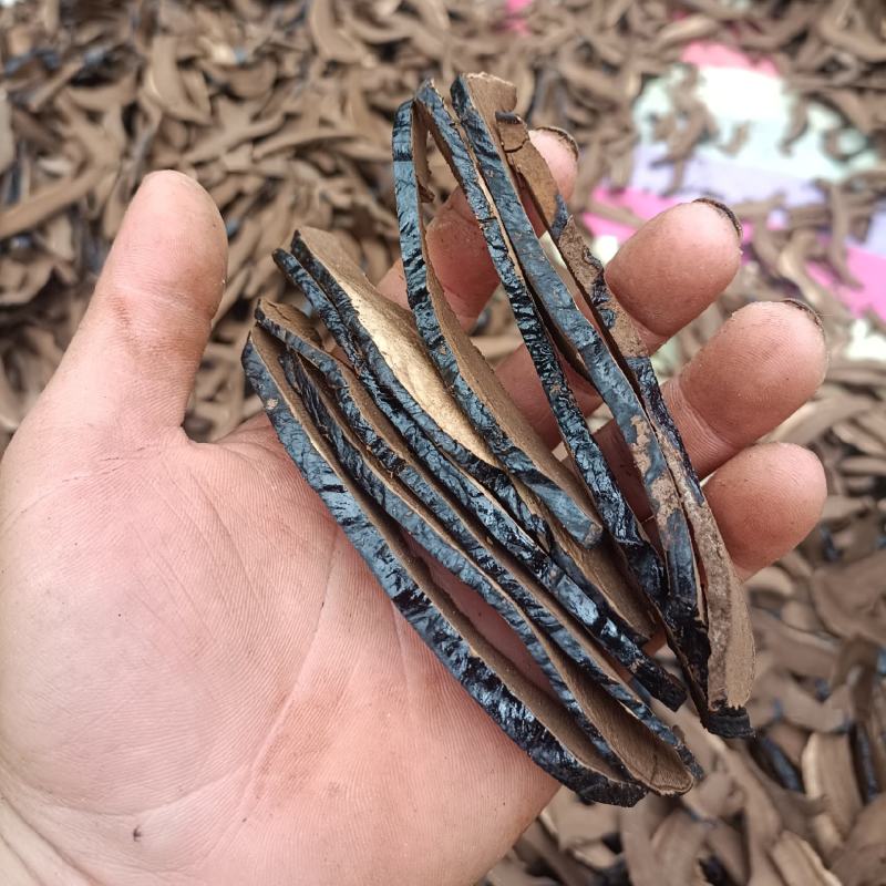 优质黑灵芝切片产地发货一手货源诚信合作欢迎来电