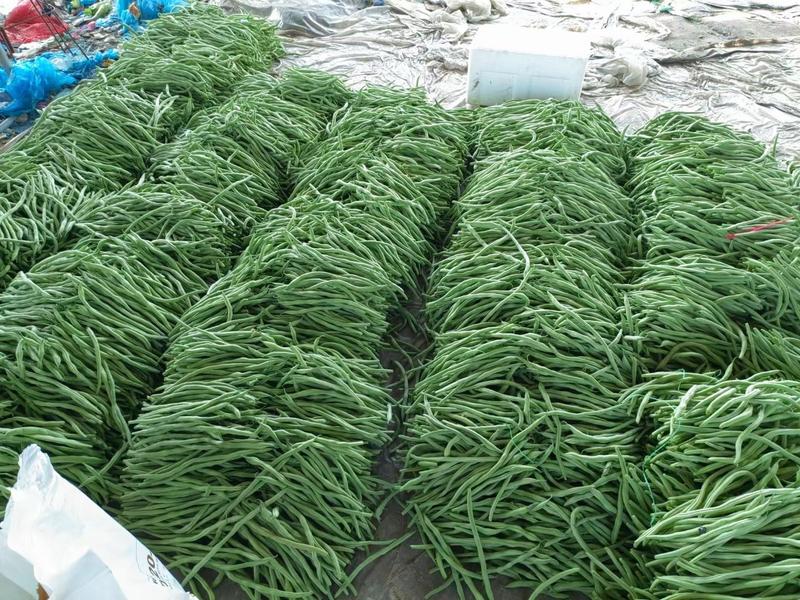原产地直供精品芸豆，一级好货，刚刚上市，质量有保证。