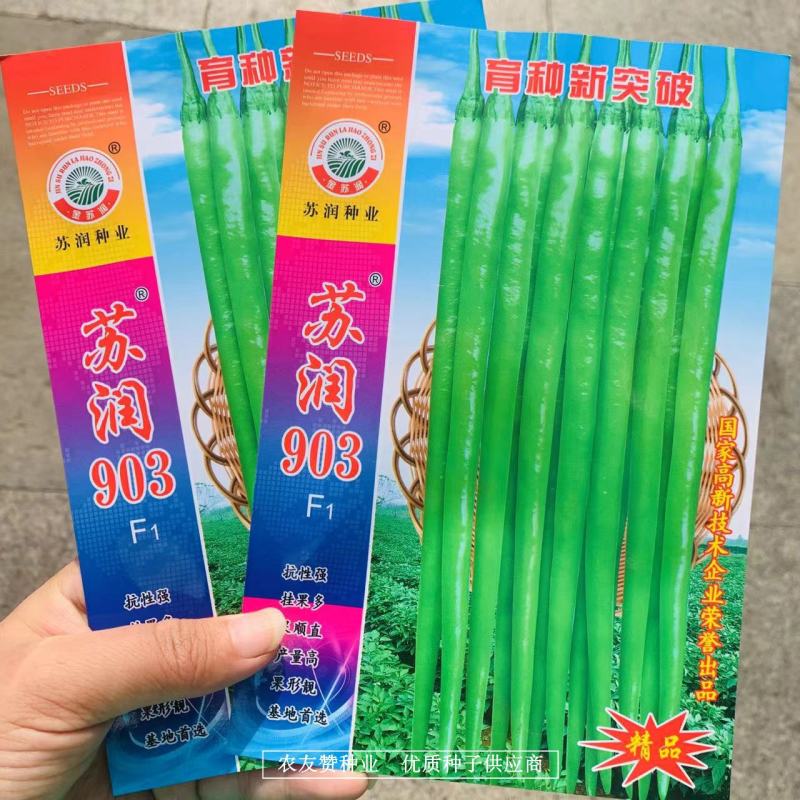基地专用长线椒种子苏润903青红两用嫩绿色线椒种籽辣味强
