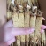 皇马褂无糖红参足干黄皮红心皮老纹深