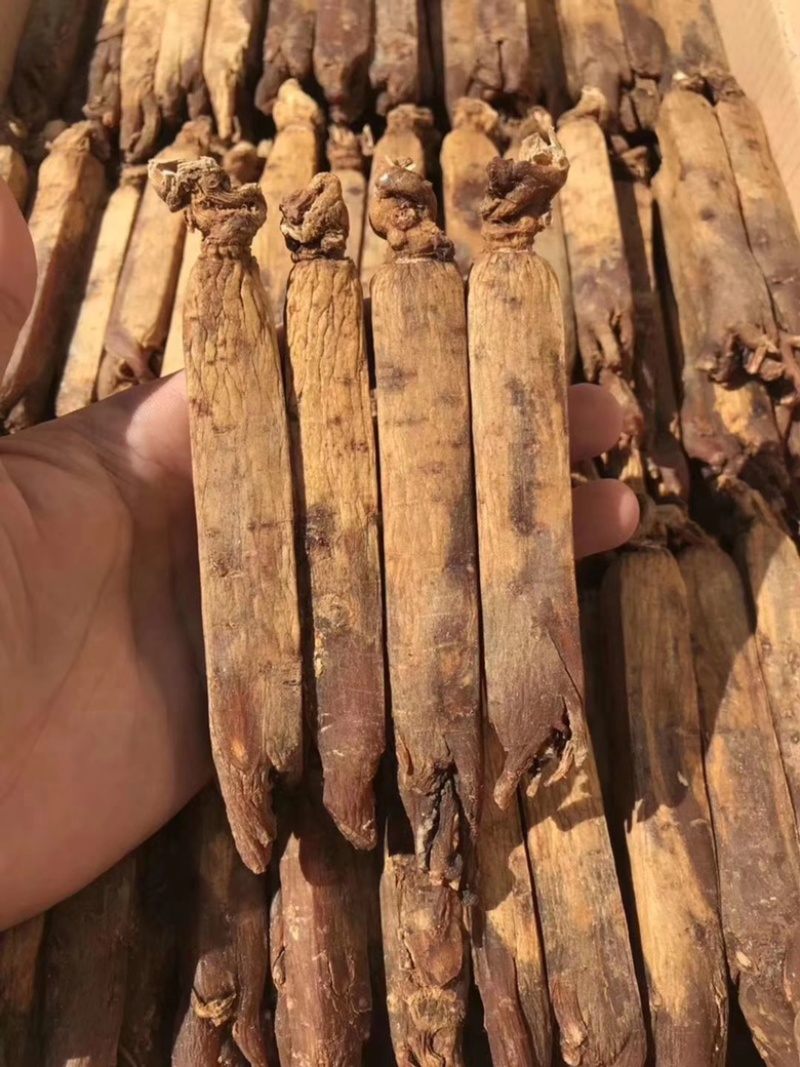 皇马褂无糖红参足干黄皮红心皮老纹深