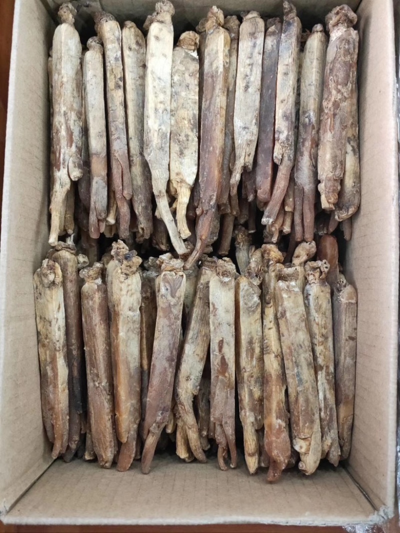 皇马褂无糖红参足干黄皮红心皮老纹深