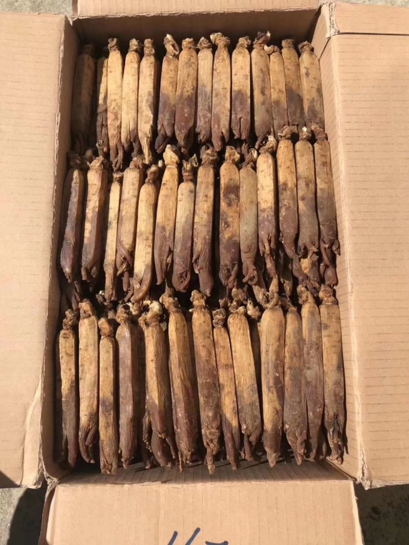 皇马褂无糖红参足干黄皮红心皮老纹深