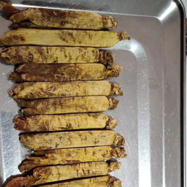 皇马褂无糖红参足干黄皮红心皮老纹深