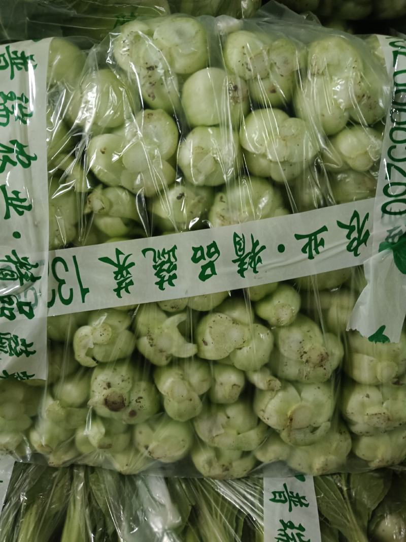 上海青安徽太和上海青精品上海青产地直发，货源充足