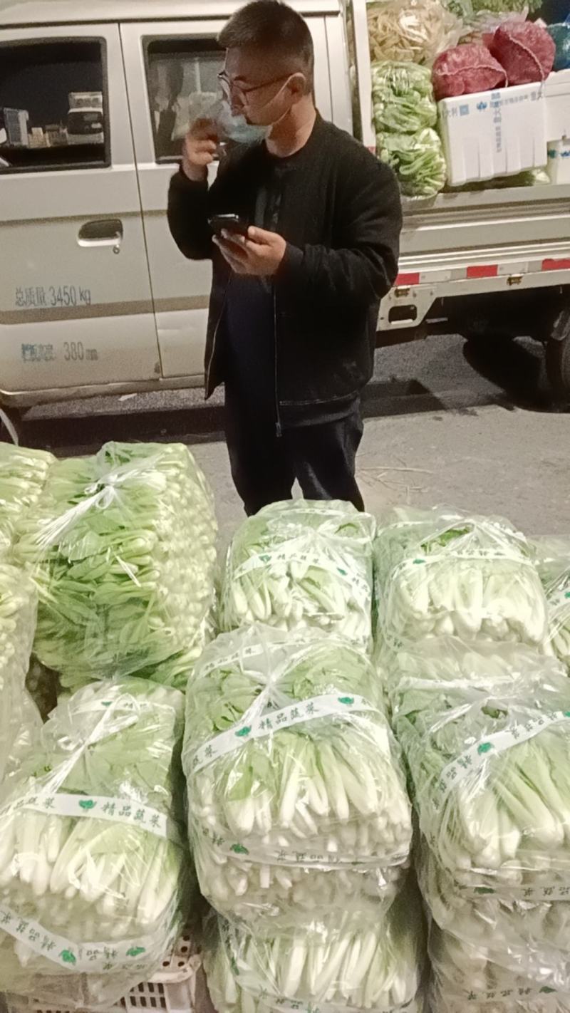 上海青安徽太和上海青精品上海青产地直发，货源充足