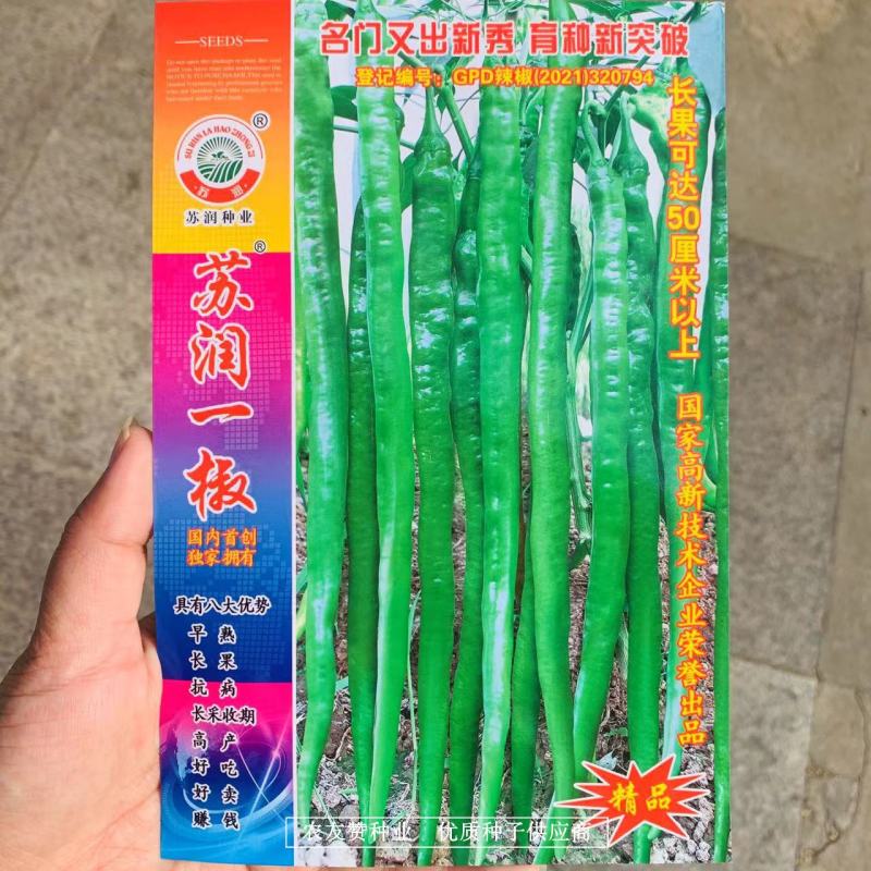 正牌苏润858特长线椒种子条椒辣椒种籽特高产抗病线椒种子