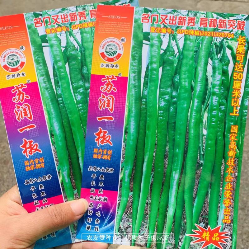 正牌苏润858特长线椒种子条椒辣椒种籽特高产抗病线椒种子