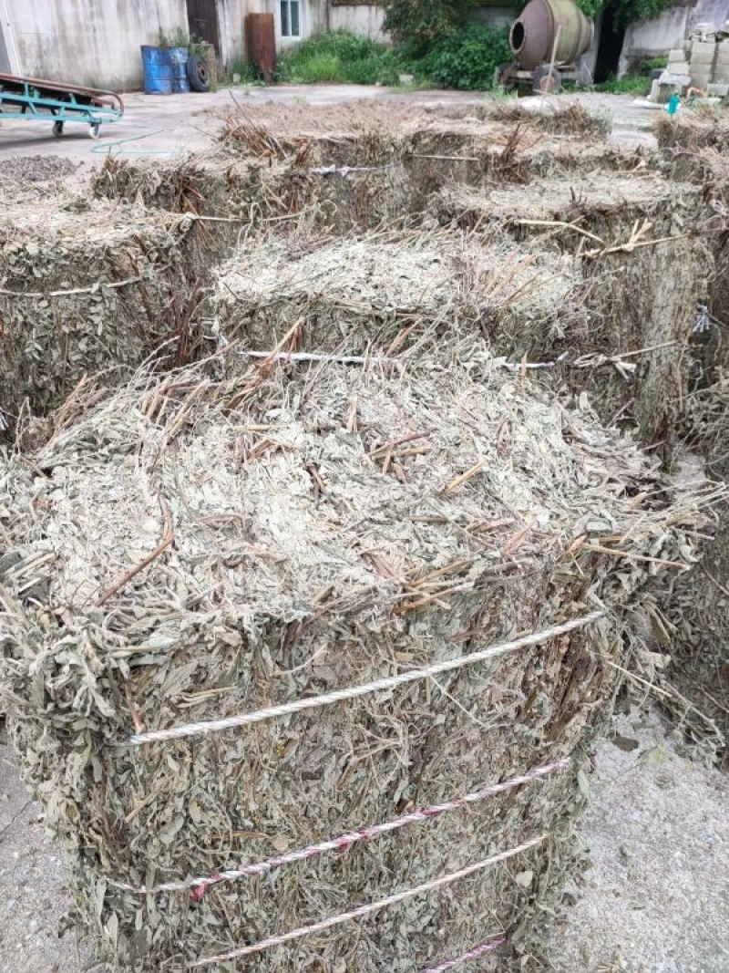 仙鹤草、仙鹤草机压件，现货供应，数量有限可联系